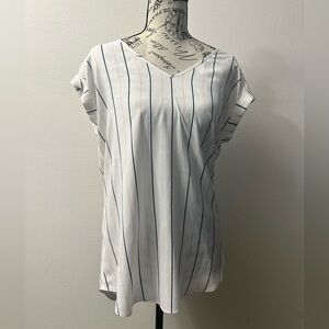 Express White, Blue and Pink Striped V-Neck Blouse